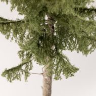 Modelldesign-Baum-13