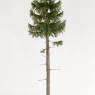 Modelldesign-Baum-17