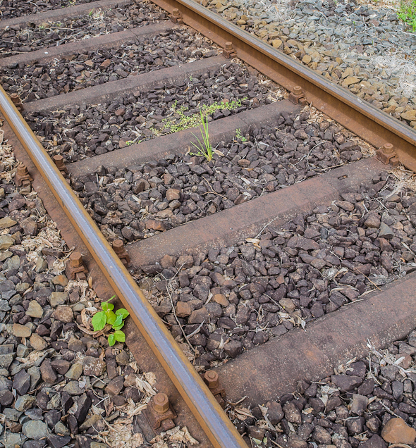 Gleis mit Stahlschwellen